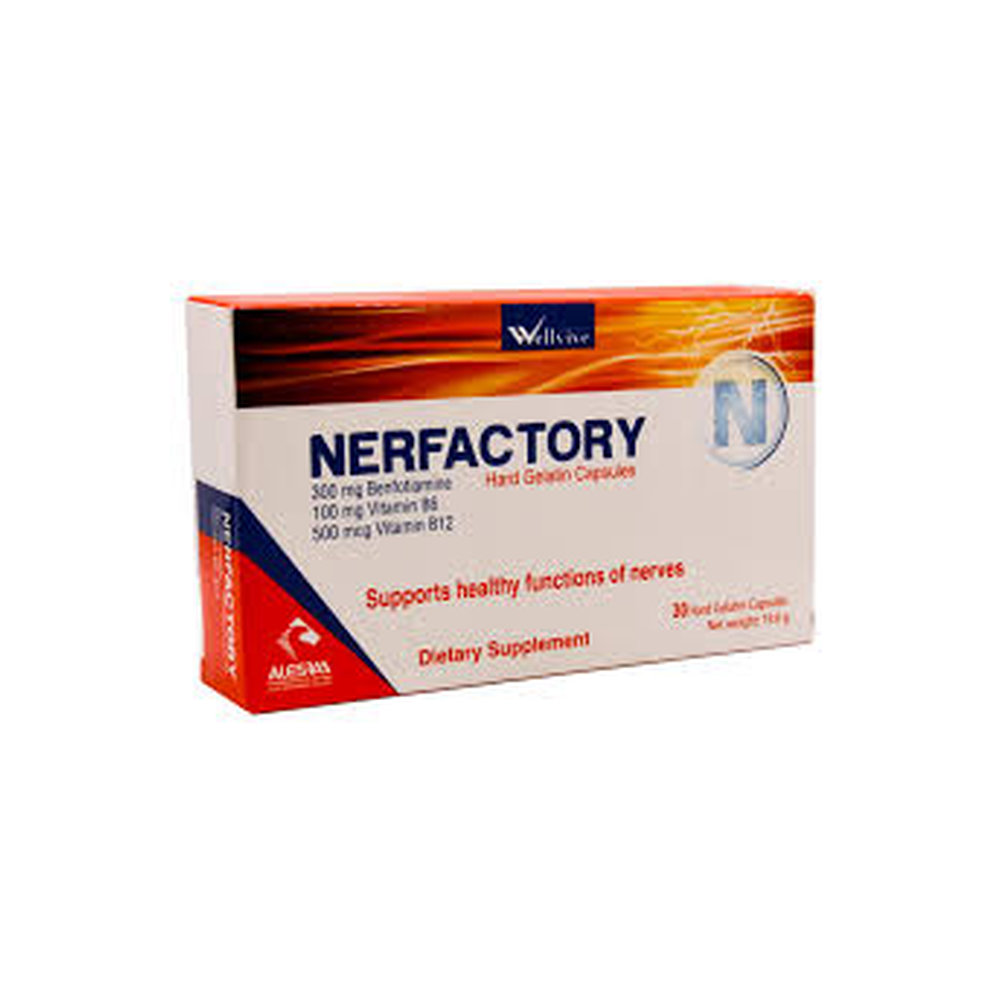NERFACTORY CAPSULE VIT